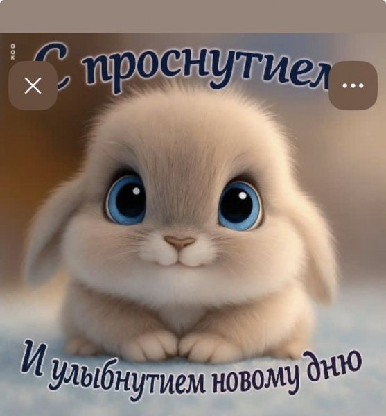 Dfd8cb6d5f778033424cf41d51fd6e04