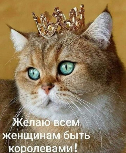 76a1e0df63ff1ba5216f1d0f5fd9079a