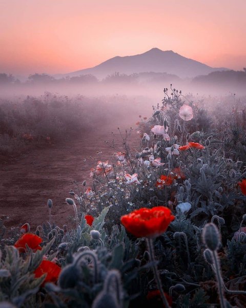 7CB00A06-14E4-480C-99E6-3AE9DABA74BD