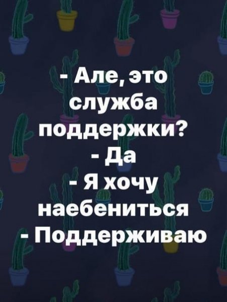 IMG-20181208-WA0034