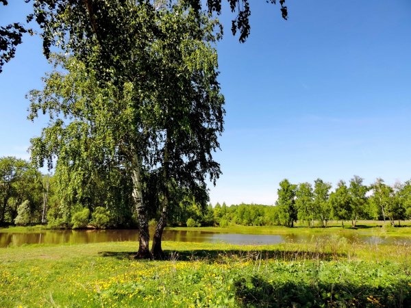 Гармония