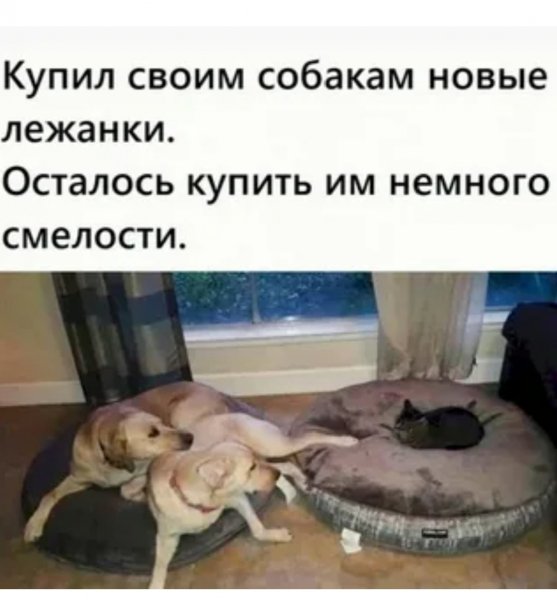 Мда уж... ))