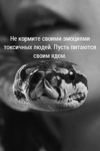 picture_397476485