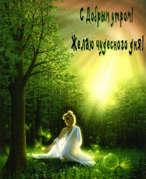 0d6fb5160fc00bce5c7ac9e5fd733666