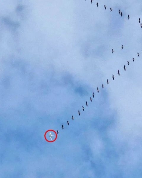 XZM-q8wAuPaKJeRtU59swXxy3K-hx1cNgtxIDUXUXJOoCBxT8d74ISPJrmqv