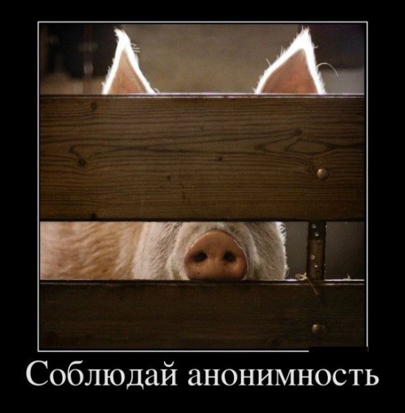 picture_403327679