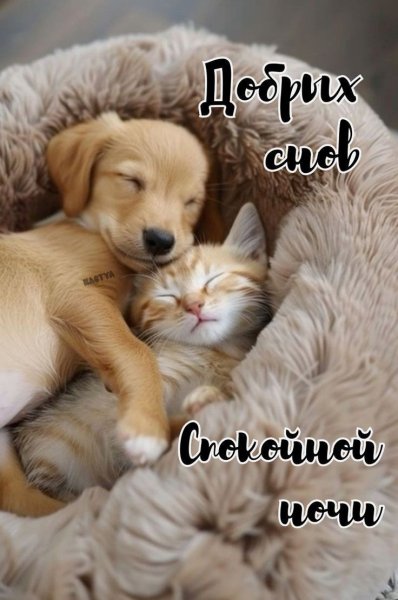 F1dd05b8b3bc5a59253ce9f90c540197