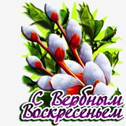 с вербным воскресеньем
