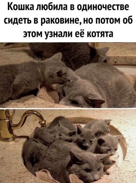 image (2) - 2021-03-21T165254.377