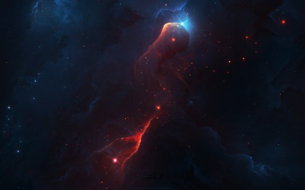 P143217