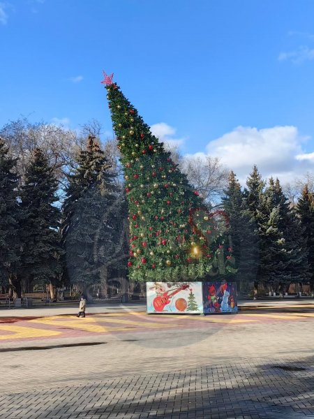 Около недели назад ёлочка решила прилечь в Батайске