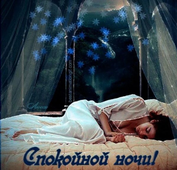 Спокойной Ночи