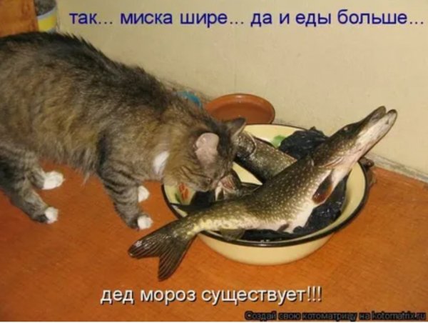 Дед мороз существует!!!