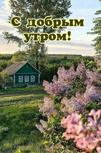 4f196436-bd62-4051-ad25-8aa12d9ed979