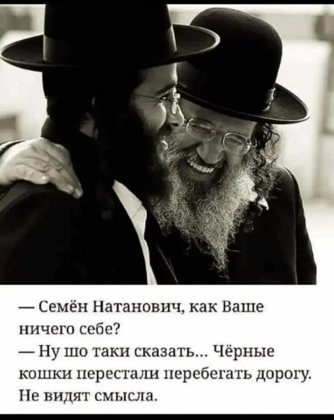 Не видят смысла