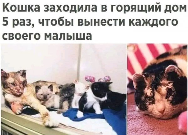 FB IMG 17004822031767869