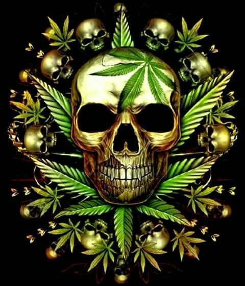 a74bf48791ee277f75aaf2d1af