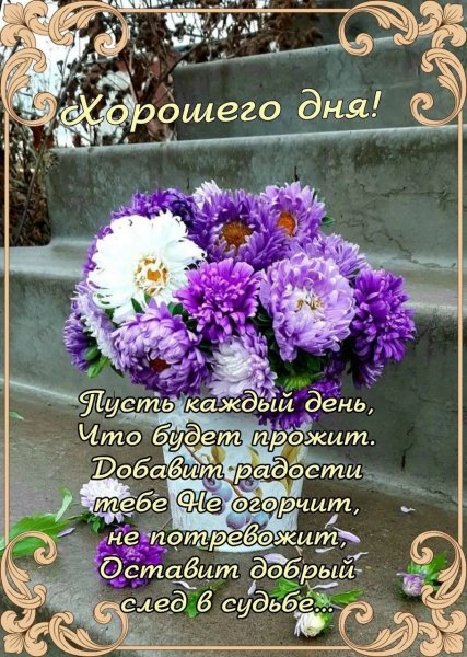 IMG 20260214 060009 628