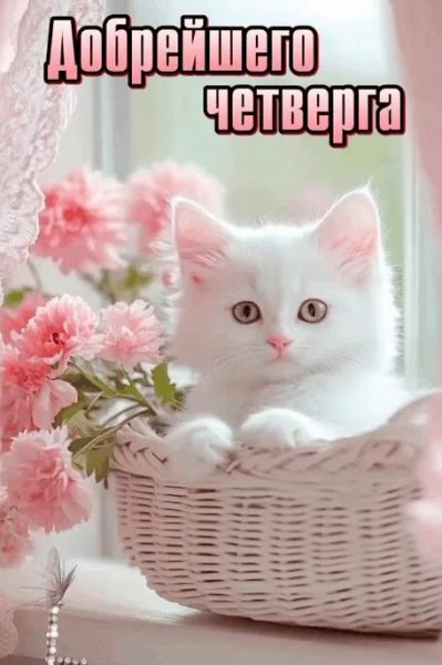 Друзья мои!