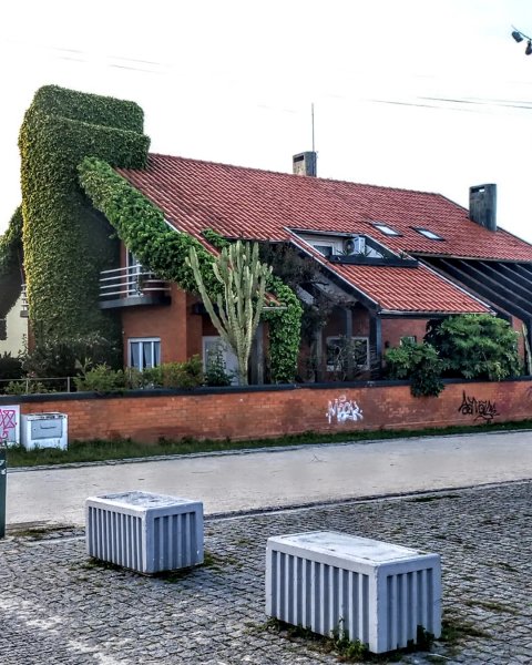 Скромное общежитие в Авейро