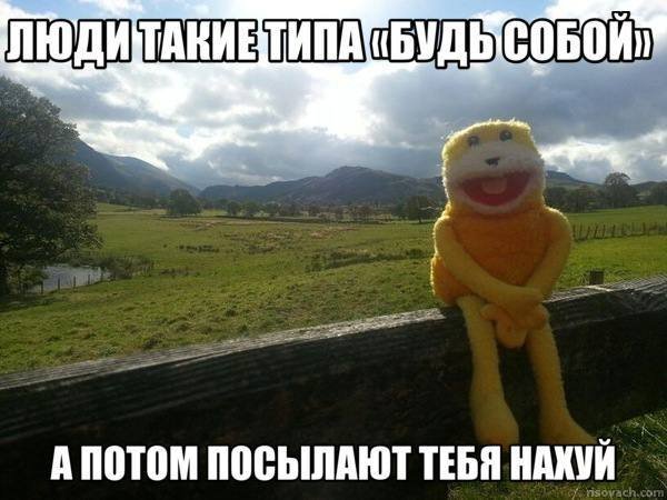 picture_412869556