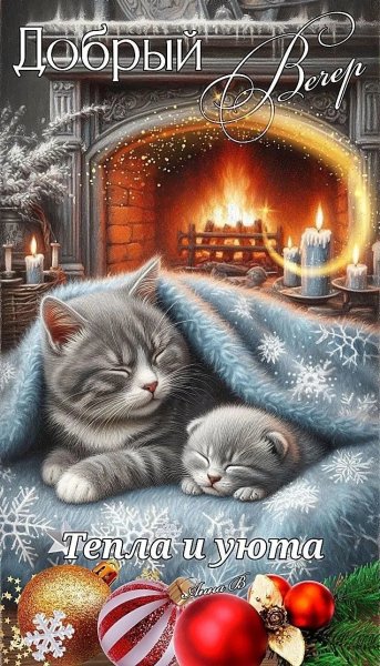 IMG 20260210 232159 581