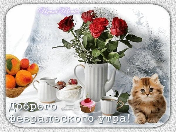 IMG 20260211 085649 732