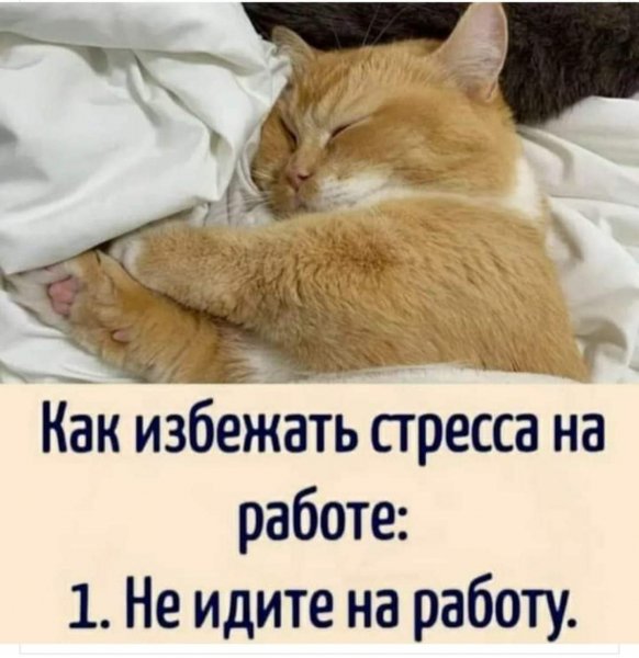 FB IMG 1633689207086