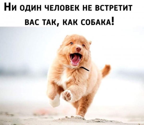 Ни один человек