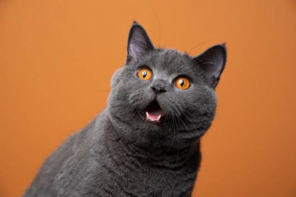 -5350289002156124143 120