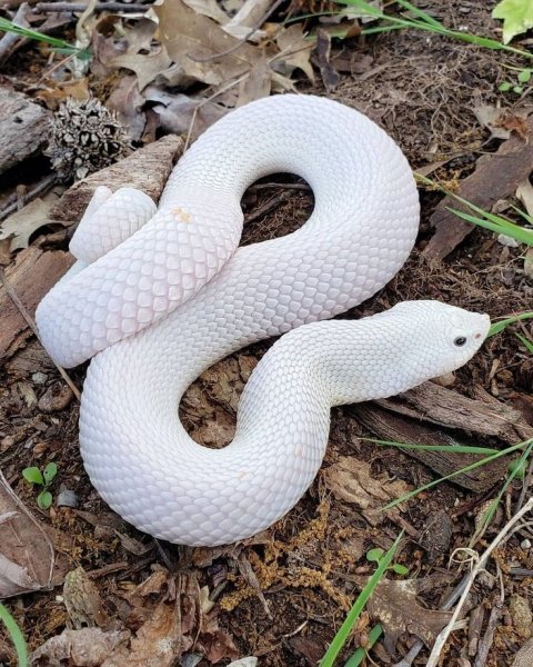 e8fe2b176d049c1a2f3eb700e32c9849