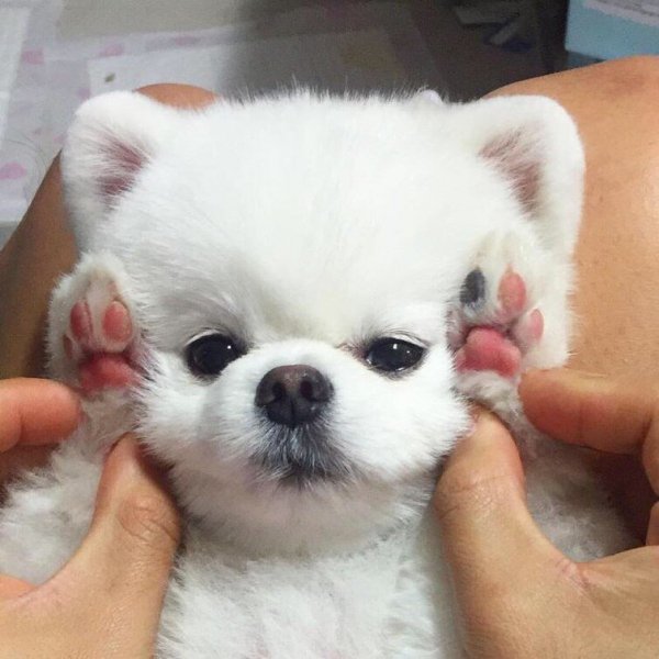 IMG-c68ab910e41f851637b59eb6095e6643-V