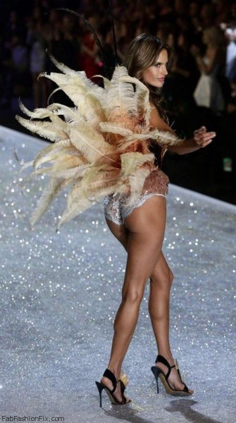 4b7e9d21661eeb5f45a7d114da036fb4