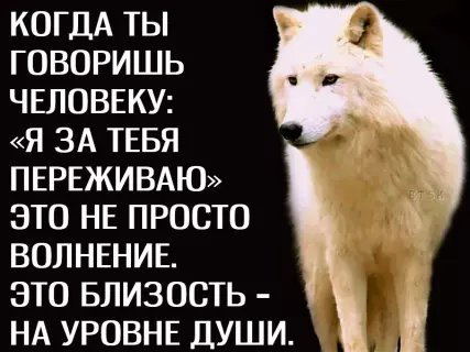 picture_212553785