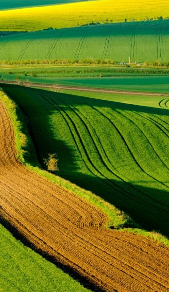 Screenshot 20260417-161118 One UI Home