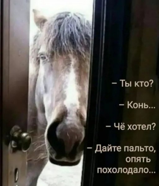 Опаньки!