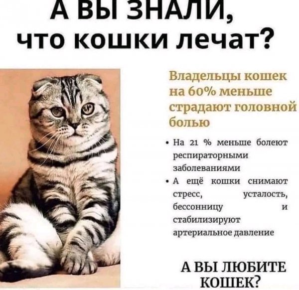 FB IMG 16385554951132910