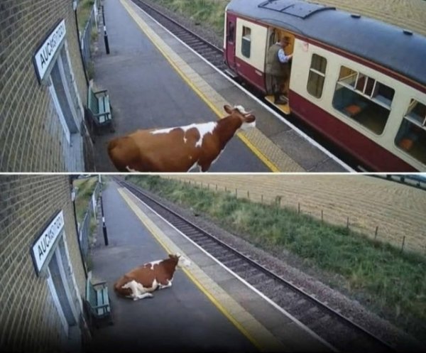 Go ymP5DuPqEva56BWwSPW5rELslXHxtNc7Cjv2yuJpgCni271hikM Q PP-