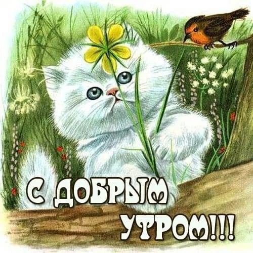 D01cb53178ddb1f7f8d910c59abe52f0