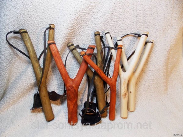 IMG 20251011 195228 029