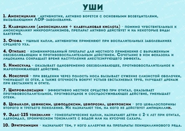 надо знать-уши