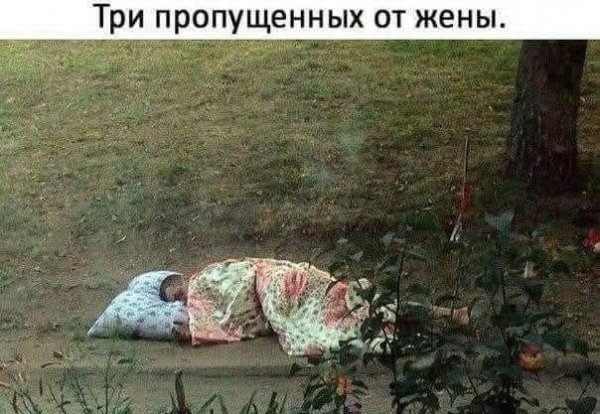 TmGrJTy0R6EHjMZd5JfNSxxkxtwP7URKlqP26I1BTmn