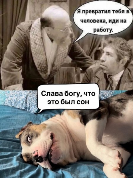 IMG 20260428 121946