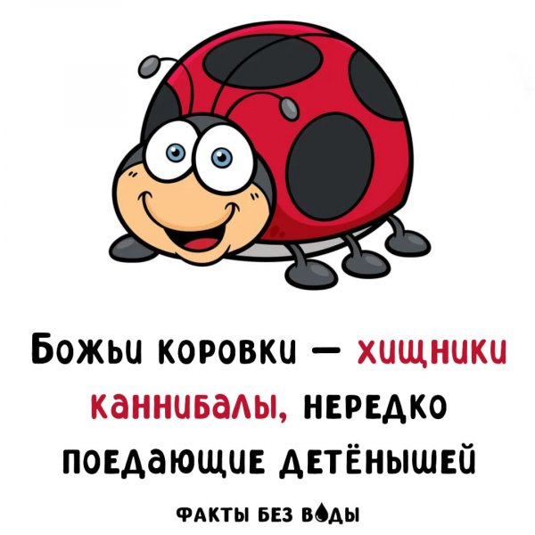 IMG 20251114 164455 216