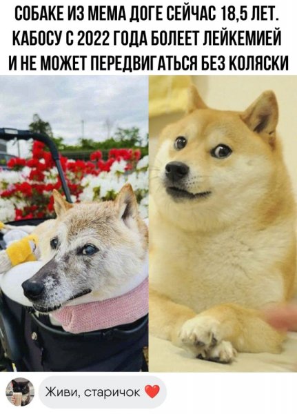 Kartinki-s-nadpisjami-i-kommentarijami-iz-socsetej-19