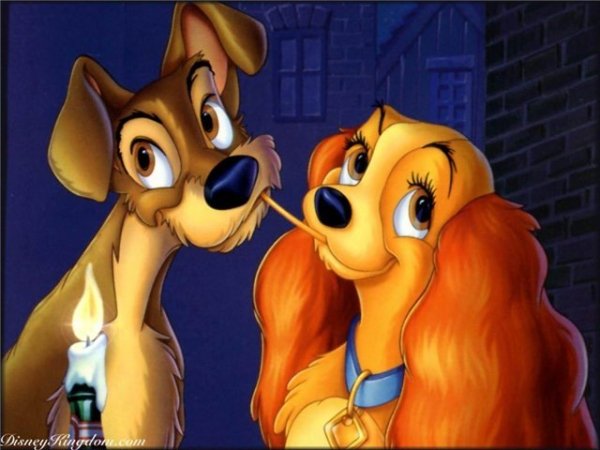 zagruze.ru 600088923525