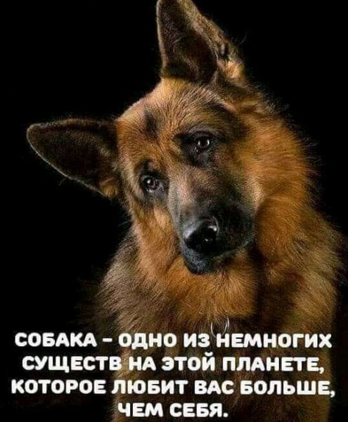 FB IMG 16361375805664078