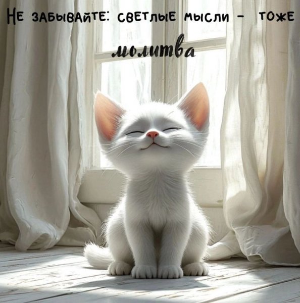 33dc307d89e9a0c416d55d8286cdf26a