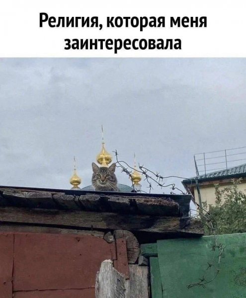 IMG 20250502 172108 430