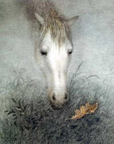 c5bfe6548fdc8f1c0921b0af3ac